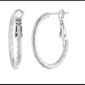 Pure Silver Over Brass Hoop Earrings